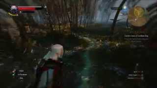 Witcher 3 Wild Hunt Find the Crones of Crookback Bog [upl. by Dachia239]