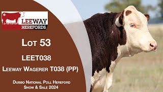 Lot 53 Leeway Wagerer T038 PP [upl. by Cecily]