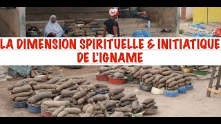 LA FÊTE DE LIGNAME DIMENSION MYSTIQUE CODE INITIATIQUE amp RITES DE LIGNAME LES VÉRITÉS DÉVOILÉES [upl. by Akinek894]