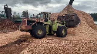 Terex 7261 Wheel Loader [upl. by Waddington]