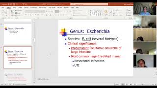 Lecture 8  Enterobacteriaceae 3 [upl. by Olecram900]