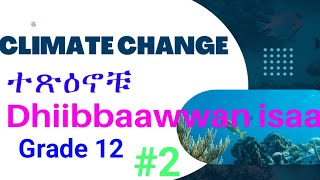 የ Climate change ተጽዕኖዎችና ምክንያቶቹ Dhiibbaa jijjiirama qilleensaa fi sababoota isaa Effects of Climate [upl. by Idona869]