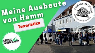 Meine Ausbeute von der 72 Terraristika in Hamm 2018 Dezember [upl. by Ais]