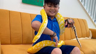 Alex y Eric Con Animales Reptiles de Compañía  Aprenda Sobre Los Reptiles de Animales Salvajes [upl. by Leander332]