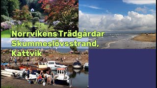 Norrvikens Trädgårdar Skummeslövs strand Kattvik Kattvik [upl. by Arocat674]