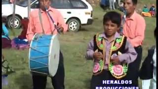 ENGREIDO DE CHURAP HLSCHISMOSA RONCADORAS DIAMANTES DE CHURAP  HUARAZ  ÁNCASH  PERÚ [upl. by Anyala]