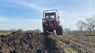 Mtz 50 őszi szántás mtz mtz50 szántás [upl. by Gnoc463]