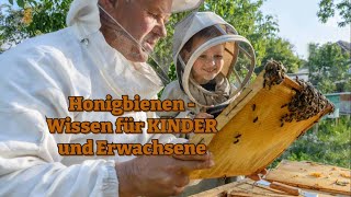 Honigbienen  Wissen für Kinder und Erwachsene [upl. by Ylac]