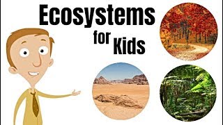 Ecosystems for Kids [upl. by Veats]