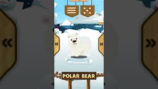 Learn Arctic Animal Names and Sounds  Papumba Games [upl. by Shaff]