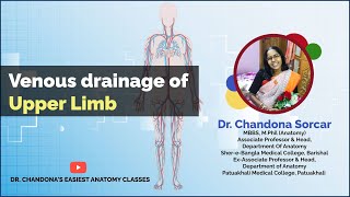 Lecture on Venous Drainage of Upper Limb [upl. by Airdnaed]