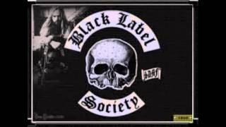 Black Label Society  Stillborn Acoustic [upl. by Ahsaz]