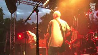 The Aggrolites  The Volcano Live HD [upl. by Marne237]