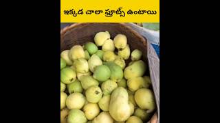 Ekkada chala fruits untai telugu facts amazingfacts [upl. by Nyssa]