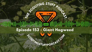 Episode 153 Giant Hogweed [upl. by Hamo]