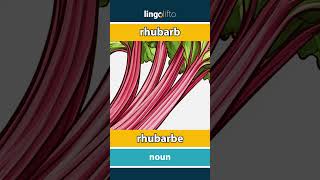 🇬🇧🇫🇷 rhubarb  rhubarbe  vocabulary builder  learn English  apprenons langlais [upl. by Marney]