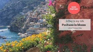 Life in Positano Vlog  Flowers in bloom and Francos Bar [upl. by Cioban]