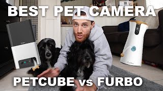 Best Pet Cameras in 2020 Petcube Bites 2 vs Furbo Dog Camera [upl. by Llevra]