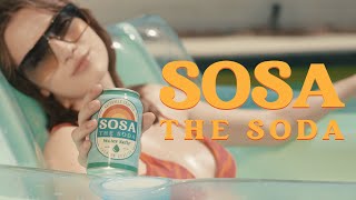 SOSA THE SODA  Water Kefir more sparkling than you ever thought possible [upl. by Rosenberger609]