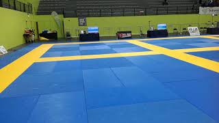 Campeonato Português de JiuJitsu 2024 [upl. by Zashin684]