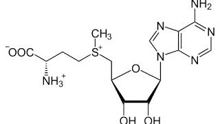 Ademetionine  Wikipedia audio article [upl. by Windzer]