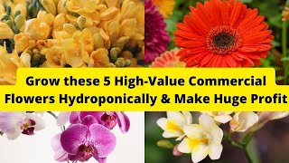 5 HighValue Commercial Flowers to Grow Hydroponically  Hydroponics  Floriculture  Farming [upl. by Eillil]