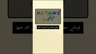 Maa ka haq koi bhi oulad ada nhi kr sakhta HAZRAT UMAR ؓ maa haq quotes huqooq [upl. by Neeloc176]