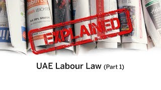 Explained  UAEs Labour Law  work hours and wage protection [upl. by Adriell818]