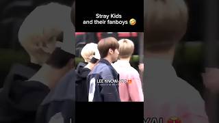 Just ✨️ SKZ Fanboy✨️ Things [upl. by Flanna]