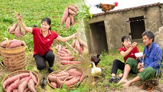 He had a high fever with no one to care for himno home or relatives  Harvest Sweet Potatoes [upl. by Aneala616]