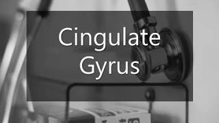 Learn how to pronounce Cingulate Gyrus [upl. by Jasmina]