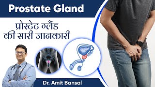 ✅ Everything about Prostate Gland I ✅ Prostate Gland की सारी जानकारी I Dr Amit Bansal [upl. by Eeclehc]