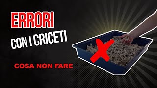 6 ERRORI da non fare con un criceto [upl. by Apoor]