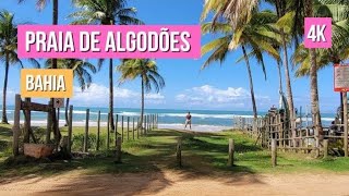 Praia de Algodões  Península de Maraú Bahia  4K [upl. by Eldwin965]