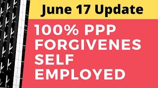 NEW 100 PPP Full Forgiveness Formula Self Employed  PPP Loan Forgiveness Independent Contractor [upl. by Abie367]