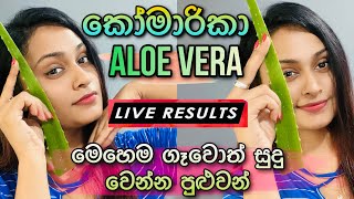 කෝමාරිකා වලින් සුදු වෙන ක්‍රමය  How to Use Aloe Vera For Skin Whitening  SLviki Media [upl. by Sheldon]