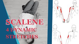 Scalene Muscles Stretch How To Use Post Isometric Relaxation PIR [upl. by Cynera570]