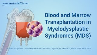 Blood and Marrow Transplant in MDS [upl. by Stanway]