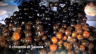 IL CHINOTTO DI SAVONA [upl. by Faxen]