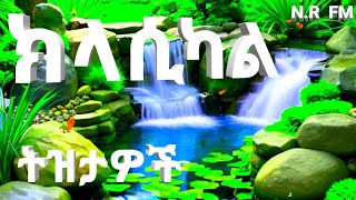 🟢🍀🌳Tizita Classical Instrumental music ትዝታዎች ክላሲካል መሣሪያ ሙዚቃ🌳 [upl. by Samoht]