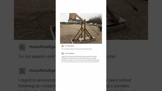 A Trebuchet Tumblr Post [upl. by Anrol]