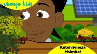 Ubongo Kids Webisode 49  Kutengeneza Msimbo  Katuni za Elimu kwa Kiswahili [upl. by Va507]