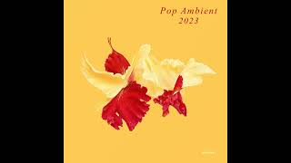 VA  Pop Ambient 2023 2022 [upl. by Marala114]