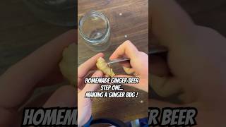 How to make Alcoholic Ginger Beer in 3 weeks No ginger bug [upl. by Roselia]