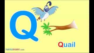 What Words Start With Letter Q Words For Toddlers [upl. by Iseabal75]