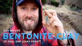 Our CANAL PONDS WONT HOLD WATER will BENTONITE CLAY help  PERMACULTURE FOOD FOREST FARM [upl. by Latoya]