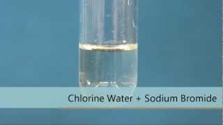 Chlorine Water  Sodium Bromide [upl. by Nob231]