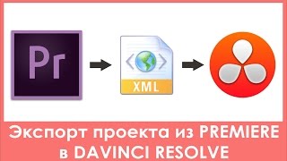 Экспорт конформинг проекта из Premiere Pro в Davinci Resolve через XML [upl. by Weksler731]