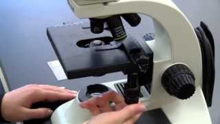 BIOLOGY 10  Basic Microscope Setup and Use [upl. by Nilhsa]