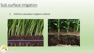 subsurface irrigation methods [upl. by Ettenej]